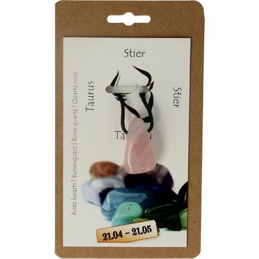 afbeelding van Hanger sterrenbeeldsteen stier