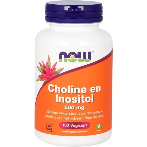 afbeelding van Choline en inositol 500mg