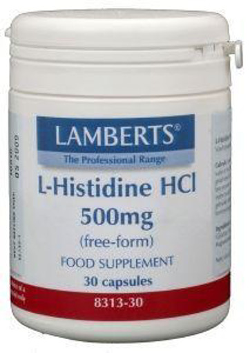 afbeelding van L-Histidine 500 mg