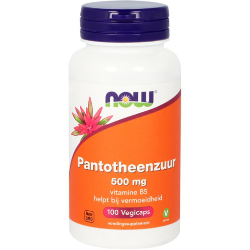 afbeelding van NOW Pantotheenzuur 500 mg (B5)
