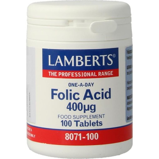 afbeelding van Foliumzuur 400 mcg