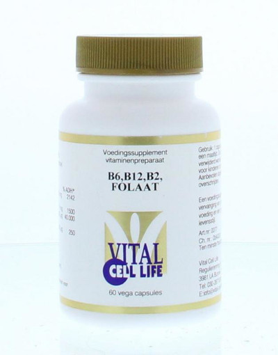 afbeelding van Vitamine B6/B12 foliumzuur