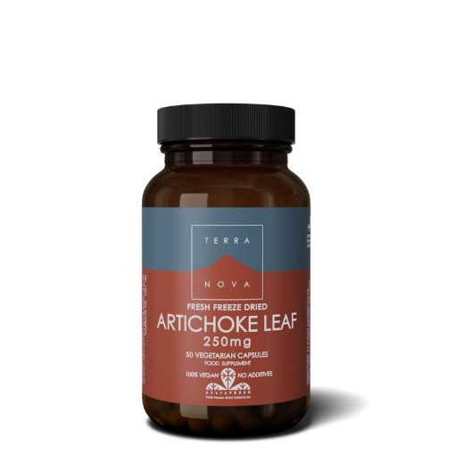 afbeelding van Artichoke leaf 250 mg