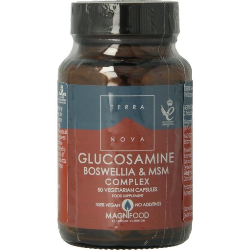 afbeelding van Glucosamine boswellia & MSM complex