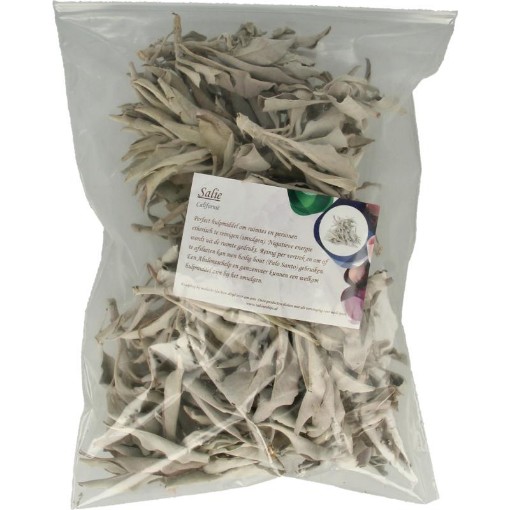 afbeelding van Saliezakje