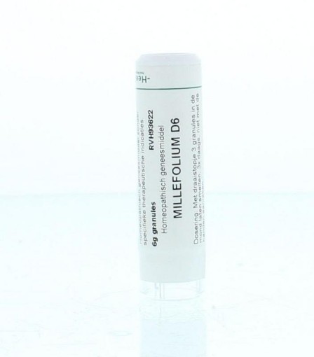 afbeelding van Millefolium D6