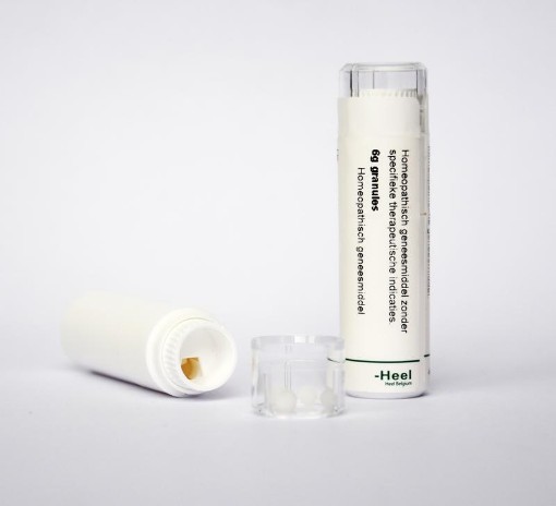 afbeelding van veronica officinalis d6 heel