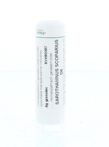 afbeelding van sarothamnus scoparius d6 heel