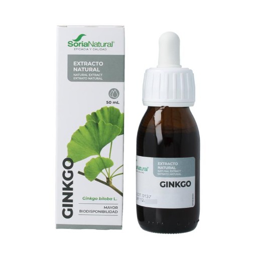 afbeelding van Ginkgo biloba XXI extract