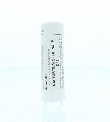 afbeelding van Nasturtium officinalis D12