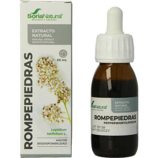 afbeelding van Lepidium latifolium XXI