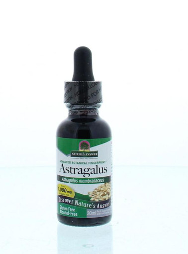 afbeelding van Astragalus extract 1:1 2000 mg