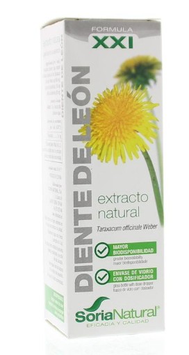 afbeelding van Taraxacum officinalis XXI