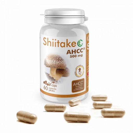 afbeelding van Shiitake AHCC 500 mg