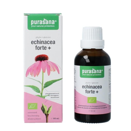 afbeelding van Echinacea forte+