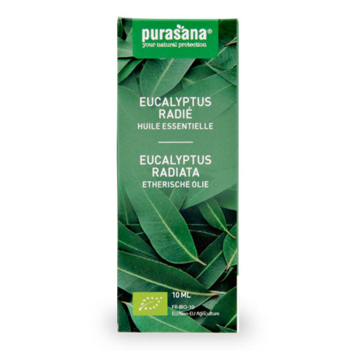 afbeelding van eucalyptus radiata Purasana