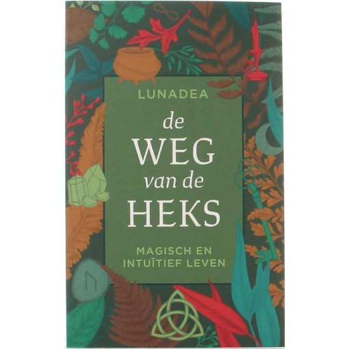 afbeelding van De weg van de heks