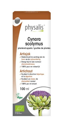 afbeelding van cynara scolymus