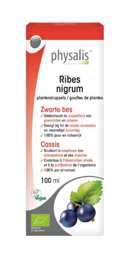 afbeelding van ribes nigrum