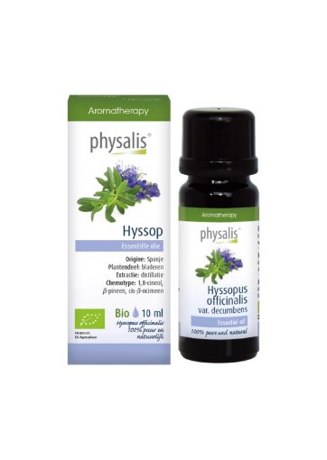 afbeelding van hyssop