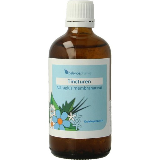afbeelding van astragalus membranaceus tinct