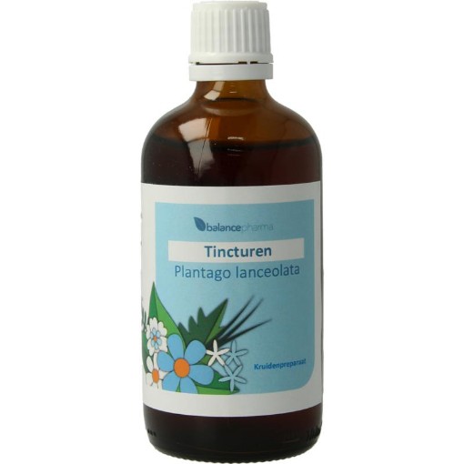 afbeelding van plantago lanceolata tinctuur