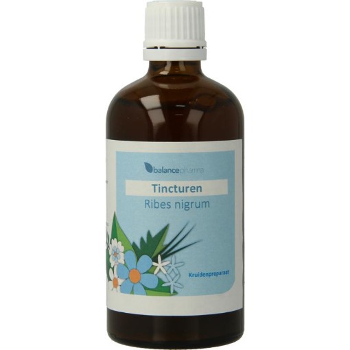 afbeelding van ribes nigrum tincturen