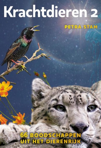 afbeelding van Krachtdieren 2 kaartenset - boodschap dierenrijk