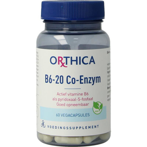 afbeelding van Co-enzym B6-20