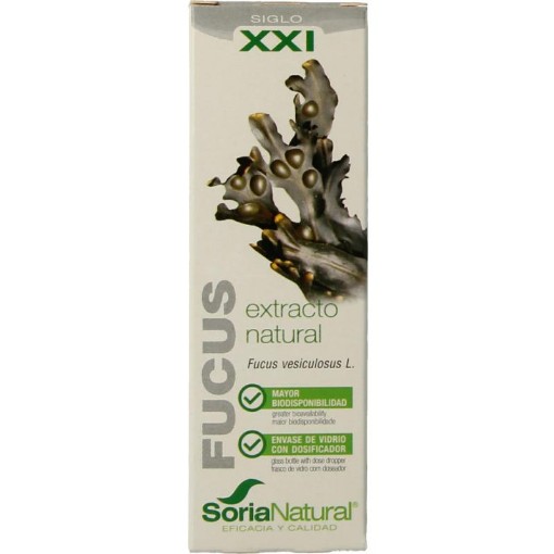 afbeelding van Fucus vesiculosus XXI