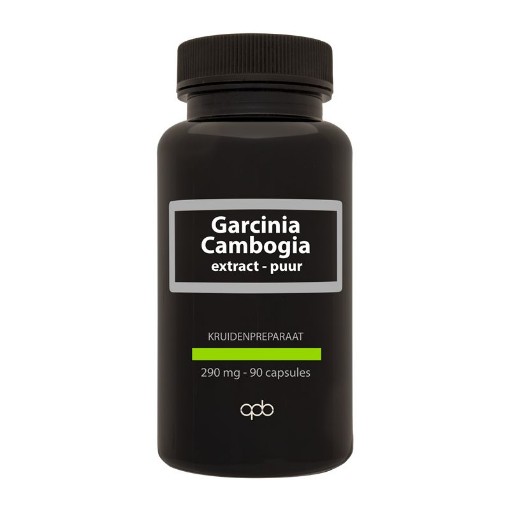 afbeelding van Garcinia cambogia 290 mg puur