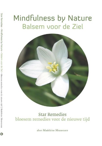 afbeelding van mindfulness bij nature - b v z