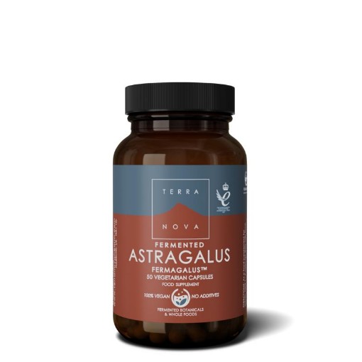 afbeelding van fermented astragalus fermagalu