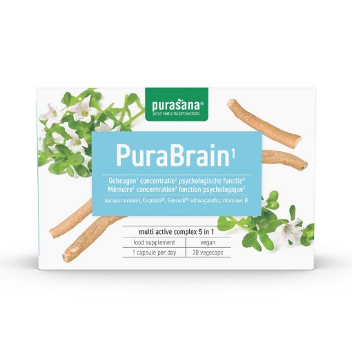 afbeelding van purabrain Purasana