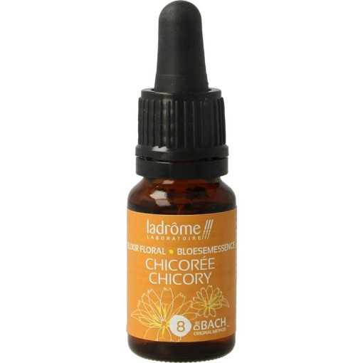 afbeelding van Chicoree chicory bio
