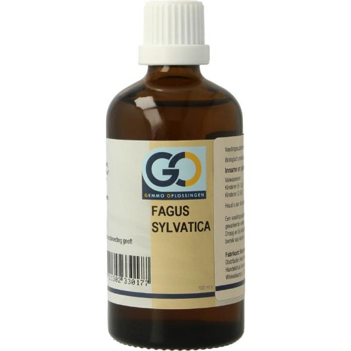 afbeelding van GO fagus sylvatica bio
