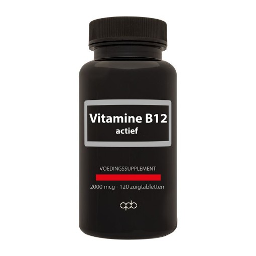 Apb Holland vit b 12 actief zuigt 2000mcg 120tb