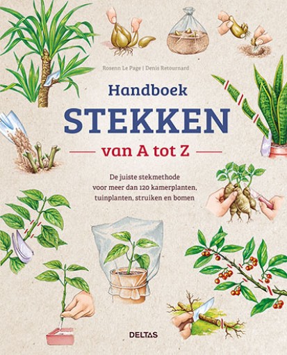 Deltas handboek stekken van a tot z boek