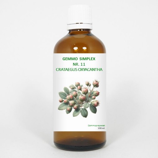Balance Pharma gemmo simpl 11 crateagus axya 100ml