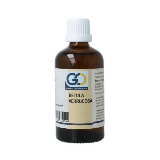 GO GO betula verrucosa bio 100ml