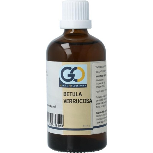 GO GO betula verrucosa bio 100ml