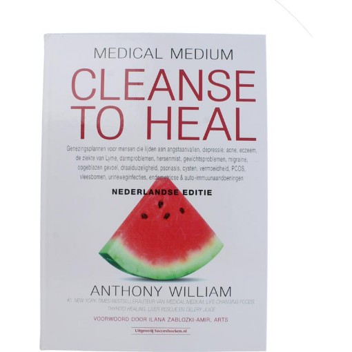 Succesboeken Cleanse to heal Nederlandse editie boek