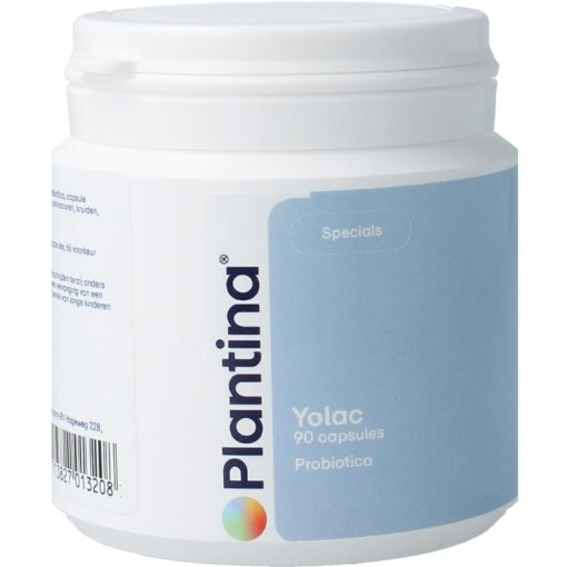 Plantina Yolac 90ca