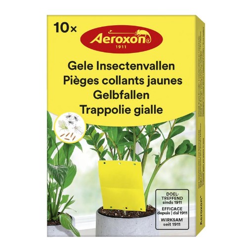 Aeroxon Gele insectenvallen 10st