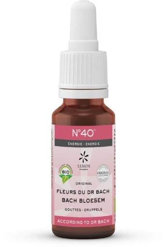 Bach bloesems mengeling 40 energie bio