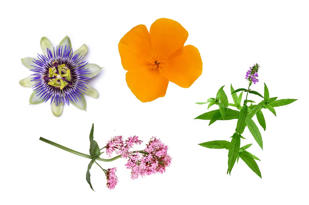 Energetica Natura Relaxol bevat krachtige kruiden De krachtige kruiden in Energetica Natura Relaxol